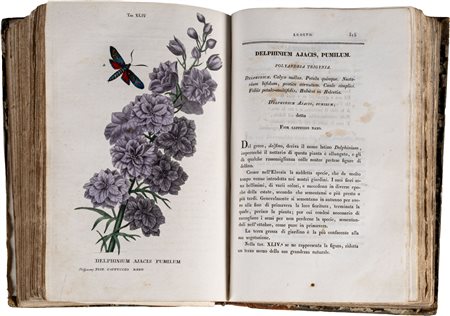 Piccioli Antonio - L'antotrofia ossia la coltivazione de' fiori