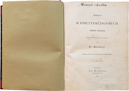 Fr. Berge -  Schmetterlings-buch (il libro delle farfalle)