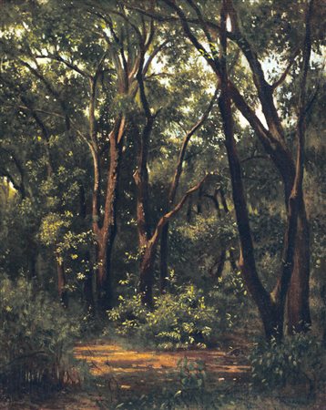 ROSSANO FEDERICO Napoli 31/08/1835 - 15/05/1912Boscoolio su tela rintelata...