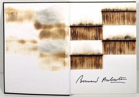 Bernard Aubertin “Livre Brûlé Rosenberg”