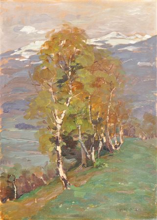 Hans Kramer (Innsbruck 1884 - gefallen bei/caduto presso Arsiero 1916)...