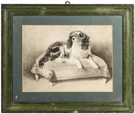 RITRATTO DI CAGNOLINO disegno d'epoca a matita e carboncino su carta, in...