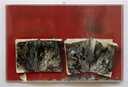 BERNARD AUBERTIN Livre brulè, 2010