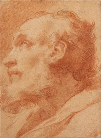 Gaetano Gandolfi (San Matteo della Decima 1734 - Bologna 1802)  - Testa di apostolo,  