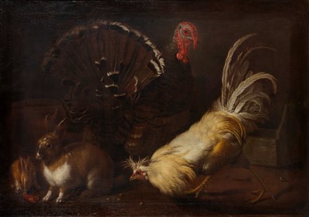 Scuola fiamminga, secolo XVII ( )  - Tacchino, gallina e conigli,  