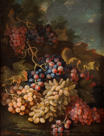Scuola dell'Italia centrale, fine secolo XVII - inizi secolo XVIII ( )  - Uve bianche e nere en plein air,  