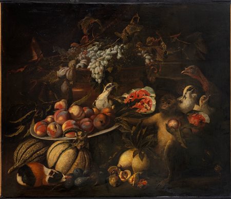 Pittore fiammingo attivo in Italia, secolo XVII ( )  - Natura morta di frutta con scimmia, porcellino d'india e volatili,  