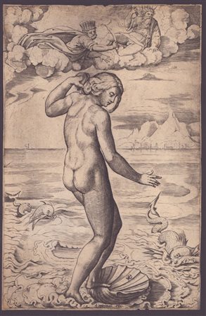detto Marco da Ravenna (1493 - 1527) 
La nascita di Venere, da Raffaello 
 