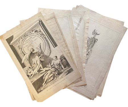  
L'Anatomie nécessaire pour l'usage du dessin par Edme Bouchardon Paris: Chereau et Joubert [1741]
 