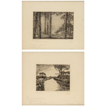 Guido Crispi (1888 - 1920) 
Tronchi in autunno | Castel Fusano 
 