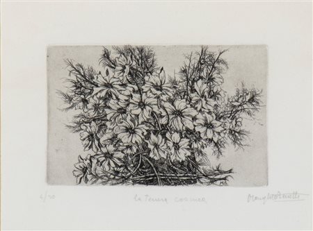 MARGHERITTA  BENETTI (Guastalla, 1923 - ) 
La tenera cosmea 
 