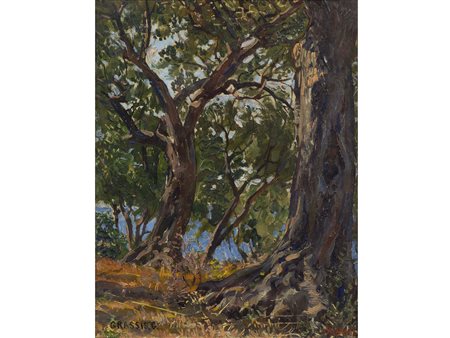Giuseppe Grassis (Torino 1870-1949) Tronco d'ulivo Olio su cartone telato...