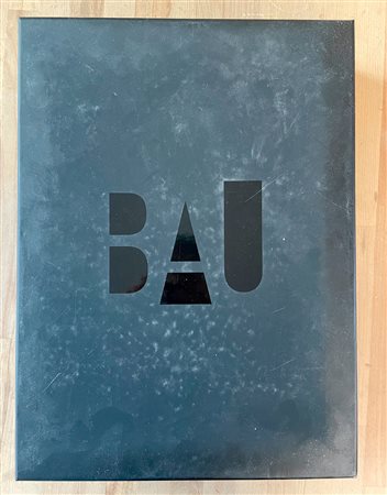 EDIZIONI D'ARTE (AUTORI VARI) - BAU Sedici. Contenitore di cultura contemporanea. Snapshot, 2019