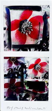 GALIMBERTI MAURIZIO Como 1956 "BiFlowers"