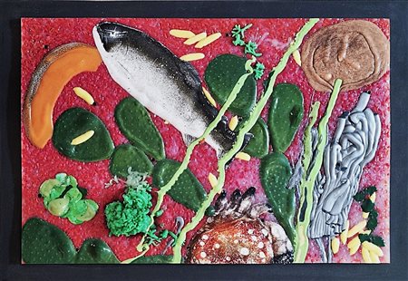 RONDA OMAR Portula 1947 - Biella 2017 "Fusion Genetic"