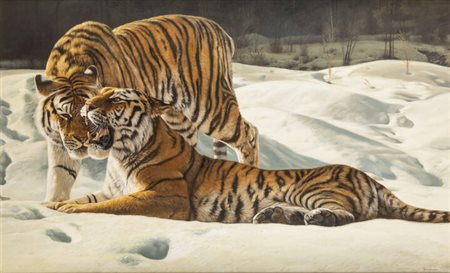 MARCO RAMASSO<BR>Torino-1964<BR>"Tigri siberiane"