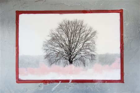 Paolo Lessi Como 1969 Evanescente 2012 Fotografia su carta hahnemuhle su...