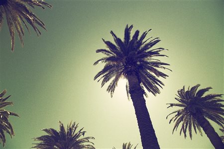 Teddy Marks (Germania, 1967 - ) 40° 2014 21 x 29,7 cm (18,6 x 28 cm immagine)...