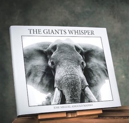 Angulo José Miguel (Madrid, 1969 - ) The Giants Whisper 2023 27,1 x 31,6 cm...