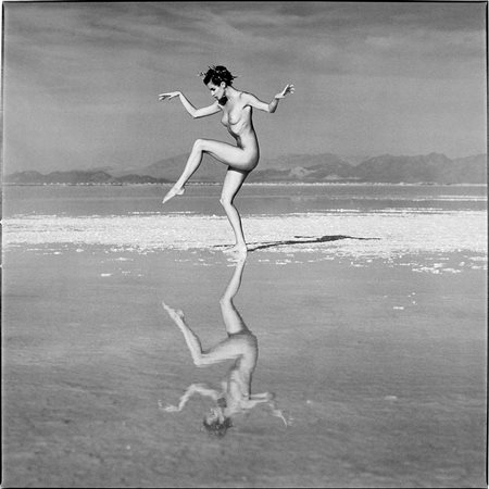 Guido Argentini (Firenze, Italia, 1966 - ) Silvereye Collection II 2004...