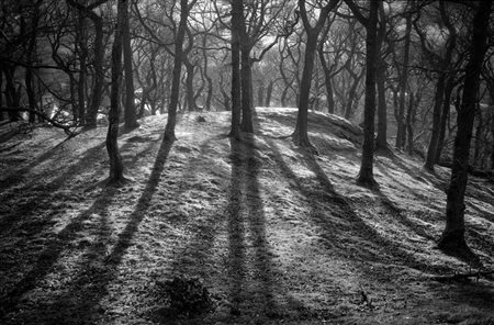 Ben Battersby (Londra, 1972 - ) The Space Before Us 13 2005 30 x 40 cm (25 x...