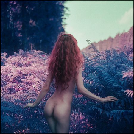 Koneser (Polonia, 1995 - ) Pteridium aquilinum #1 2021 21 x 21 cm (20 x 20 cm...