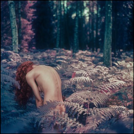 Koneser (Polonia, 1995 - ) Pteridium aquilinum #2 2021 21 x 21 cm 20 x 20 cm...