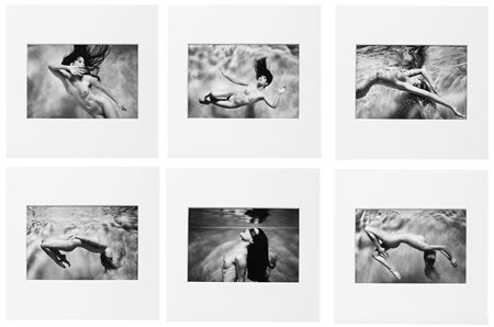 Harry Fayt (Belgio, 1979 - ) Rebirth 2012 12 x 18 cm ognuna (11 x 17 cm...