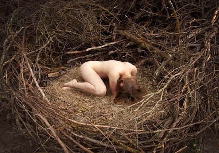 Maria Semmer (Germania, 1979 - ) Nest 2020 60 x 80 cm (50 x 70 cm immagine)...