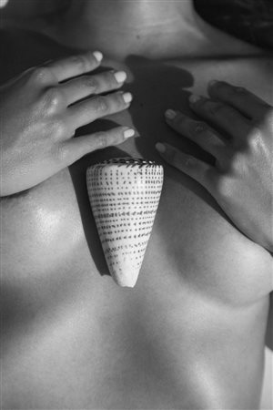 Teddy Marks (Germania, 1967 - ) Shell Top 2023 70 x 100 cm (60 x 90 cm...