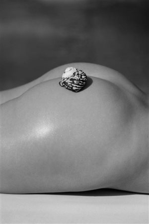 Teddy Marks (Germania, 1967 - ) Shell Bottom 2023 70 x 100 cm (60 x 90 cm...
