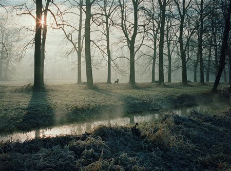 Fabrizio Alzati (Milano, Italia, 1972 - ) The Wolf 2018 70 x 100 cm (60 x 81...