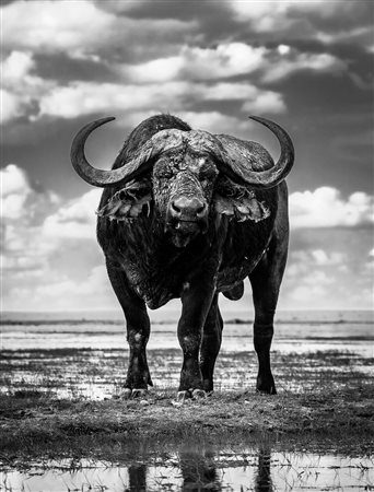 Angulo José Miguel (Madrid, 1969 - ) Courage 2022 100 x 160 cm (90 x 150 cm...