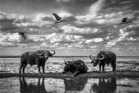 Angulo José Miguel (Madrid, 1969 - ) Reflexes 2022 150 x 220 cm (140 x 210 cm...