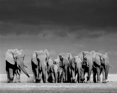 Angulo José Miguel (Madrid, 1969 - ) Hold the line 2021 130 x 170 cm (120 x...