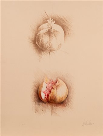 Pedro Cano (Blanca 1944)  - Melograno,  