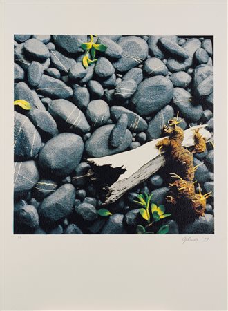 Piero Gilardi (1942 - 2023)  - Sassaia, 1999