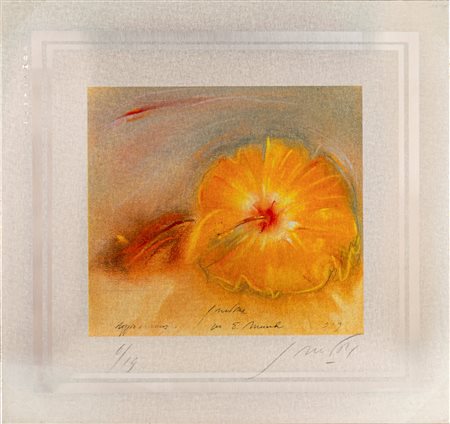 Piero Guccione (Scicli 1935 - Modica 2018)  - Doppio ibisco, 1979