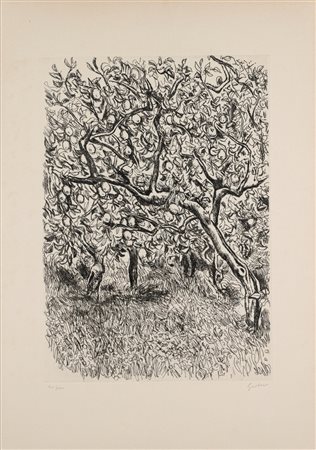 Renato Guttuso (Bagheria 1911 - Roma 1987)  - Limoneto,  