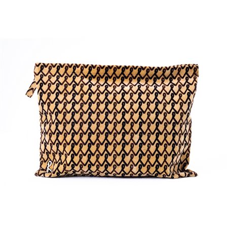 ROBERTA DI CAMERINO, Pochette