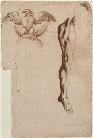 Scuola Emiliana del XVII secolo () Studio di gamba e aquila China su carta mm...