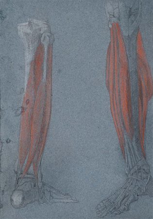 Giovanni (Nino) Costa (Roma 1826 - Marina Di Pisa 1903) Studio Anatomico di...