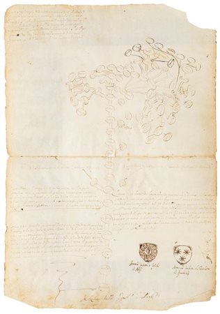 Albero Genealogico di Ranicino China su carta mm 290x210