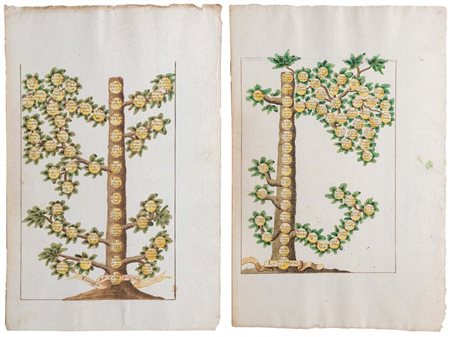 Alberi Genealogici della famiglia Lorena Acquerello su carta mm 443x292