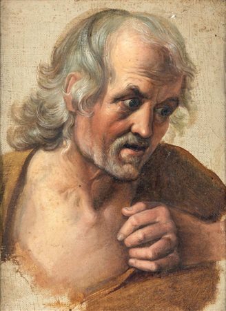 Pittore del XVII secolo () Studio con testa di vecchio odio su tela cm 35x26...