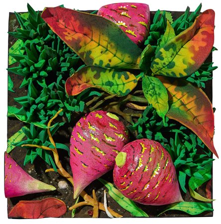 Piero Gilardi (Torino, 1942 - 2023) Pitaje Poliuretano espanso su tavola, cm...