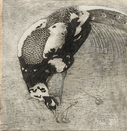Carl Moser Bozen / Bolzano 1873 – 1939 Pavone con macchie bianche, 1921...