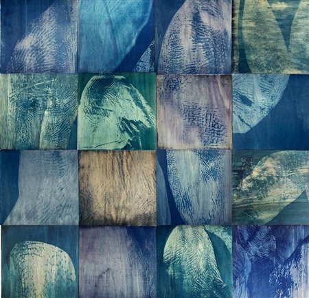 ARIANNA ATANASIO, Innesti - serie working in progress, 2019-2024