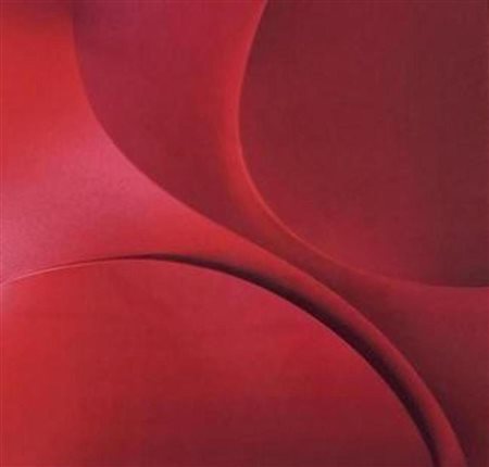 GIUSEPPE AMADIO, ORMI-8 Ros.