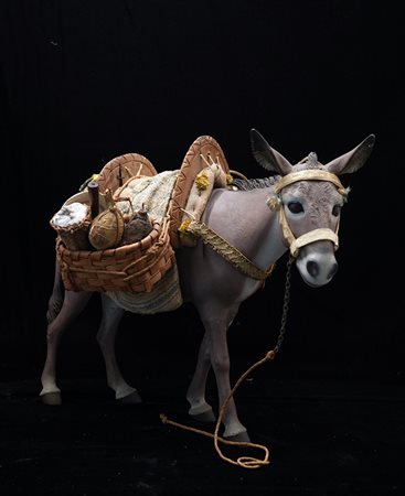 Asino attr. N. Vassallo